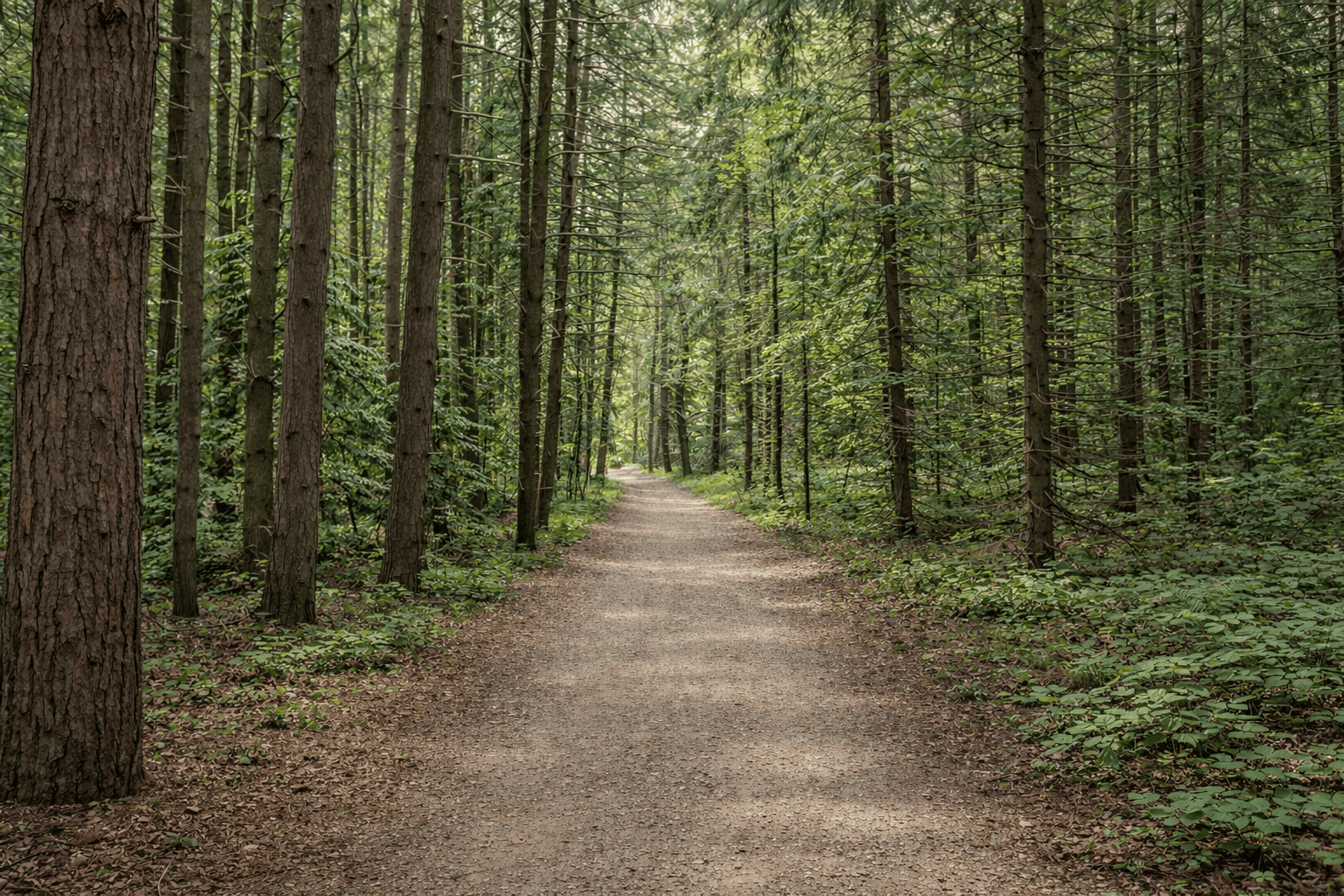 Trails & Nature at The Diamond
